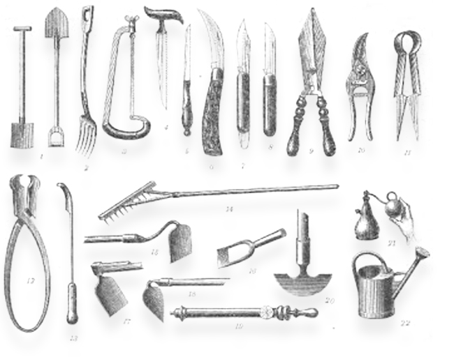 a drawing of various gardening tools