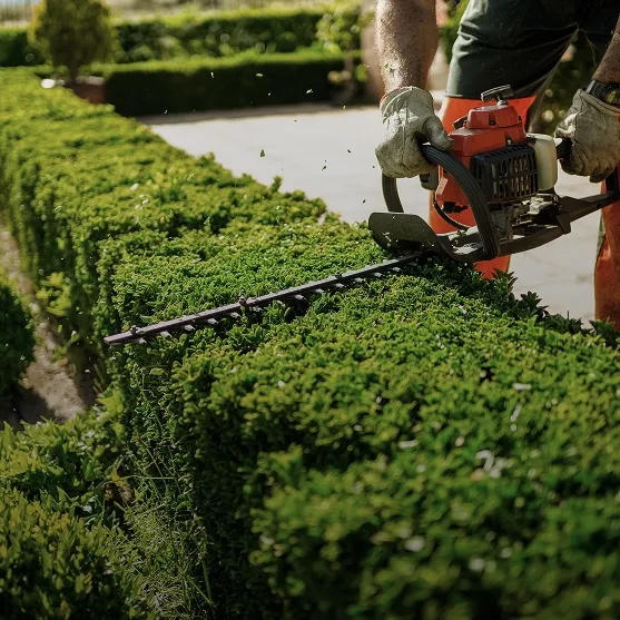 Landscape Maintenance