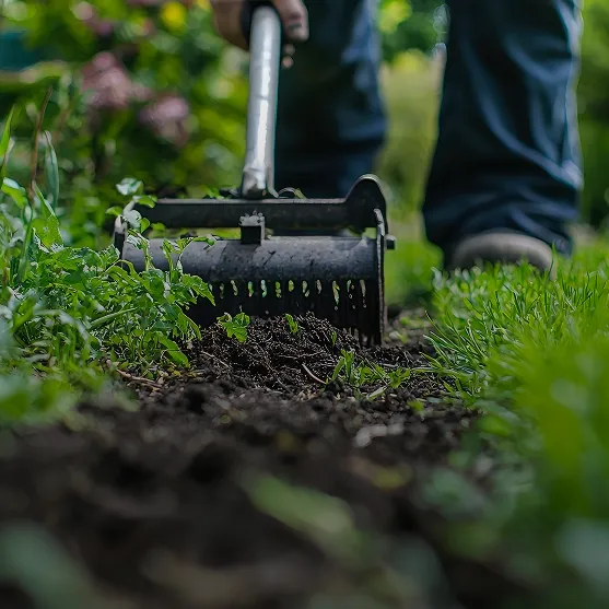 Lawn Care Services